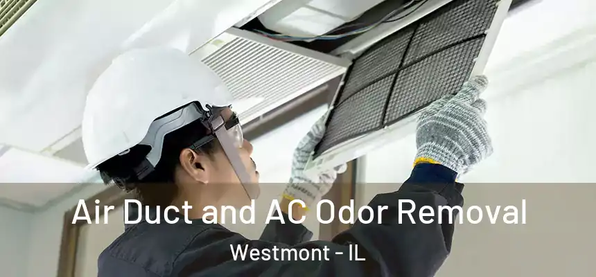Air Duct and AC Odor Removal Westmont - IL