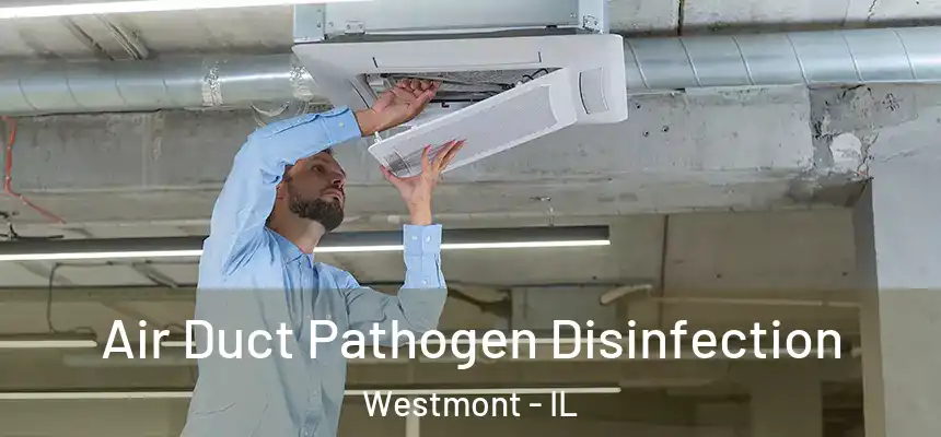 Air Duct Pathogen Disinfection Westmont - IL