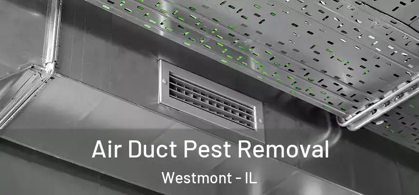 Air Duct Pest Removal Westmont - IL