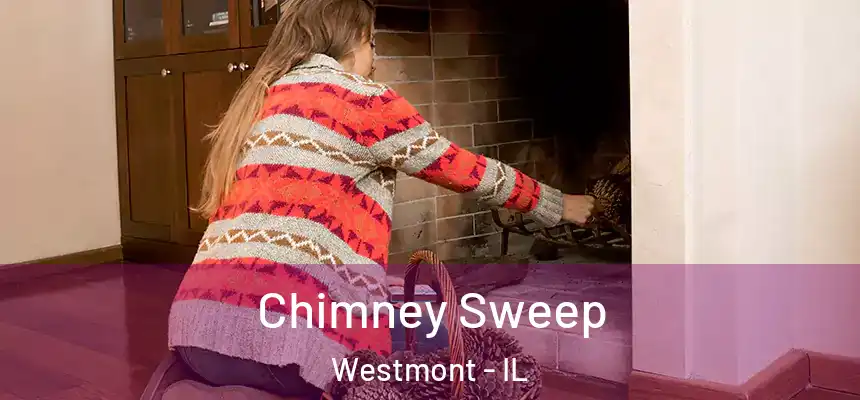  Chimney Sweep Westmont - IL