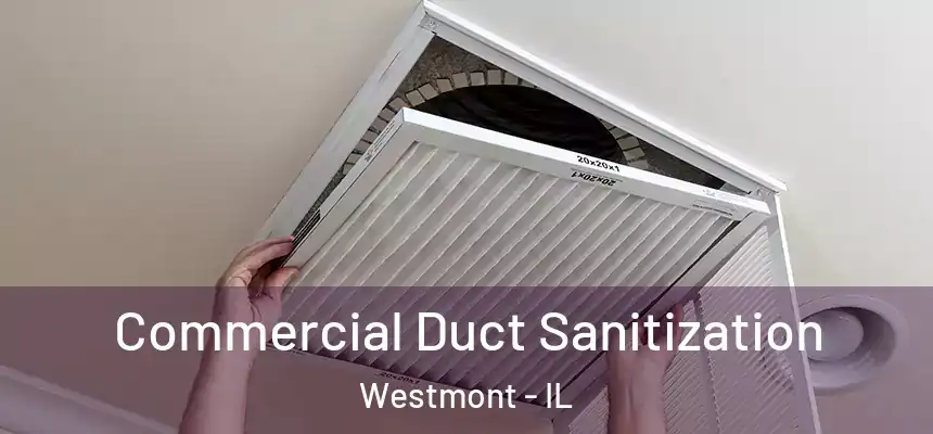 Commercial Duct Sanitization Westmont - IL