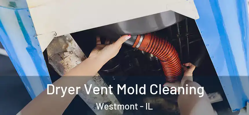  Dryer Vent Mold Cleaning Westmont - IL