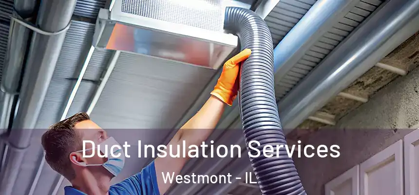 Duct Insulation Services Westmont - IL