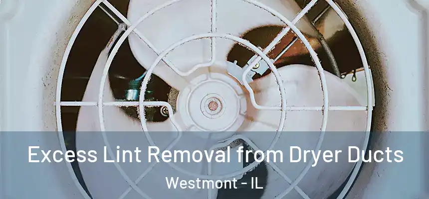 Excess Lint Removal from Dryer Ducts Westmont - IL