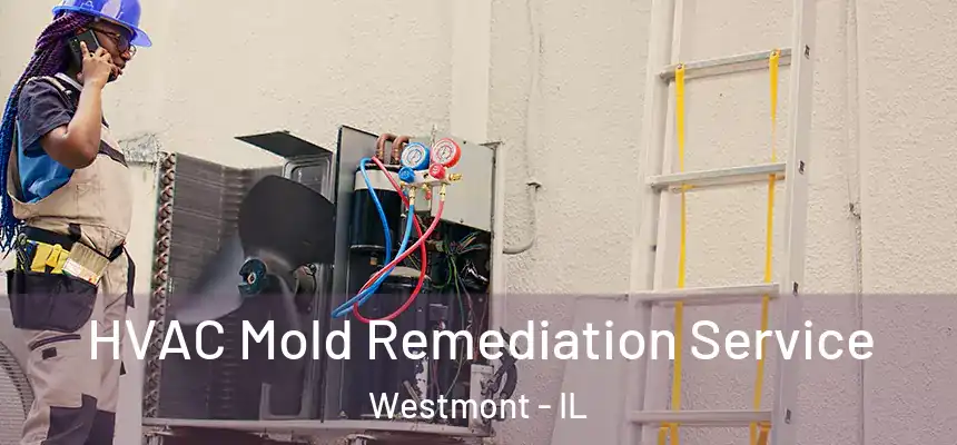 HVAC Mold Remediation Service Westmont - IL