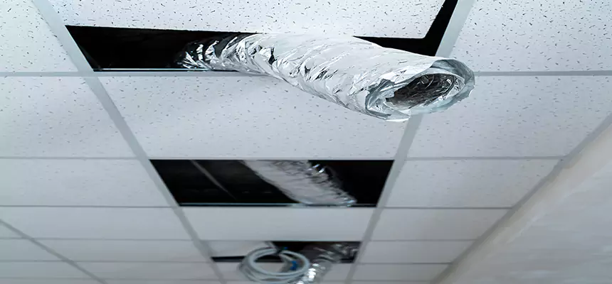 Our Air Duct Pet Hair Removal Services in Westmont, IL