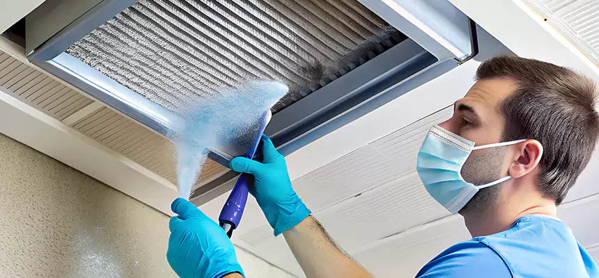 Proactive Dryer Vent & Auxiliary Duct Pollen Cleanup in Westmont, IL