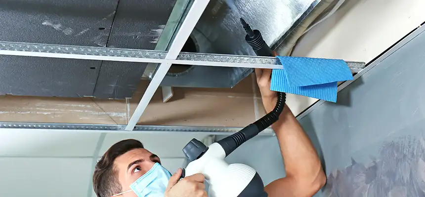 Our Air Duct Rodent Removal Services in Westmont, IL