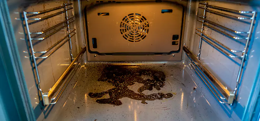 Our Dryer Vent Mold Cleaning Services in Westmont, IL