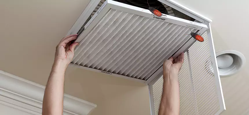 Our Insect Removal from Air Ducts Services in Westmont, IL