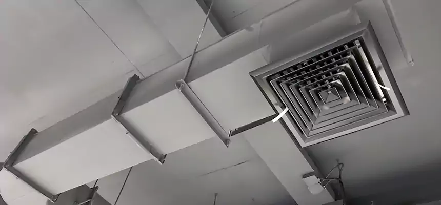 Our Pest Removal From Ducts Services in Westmont, IL