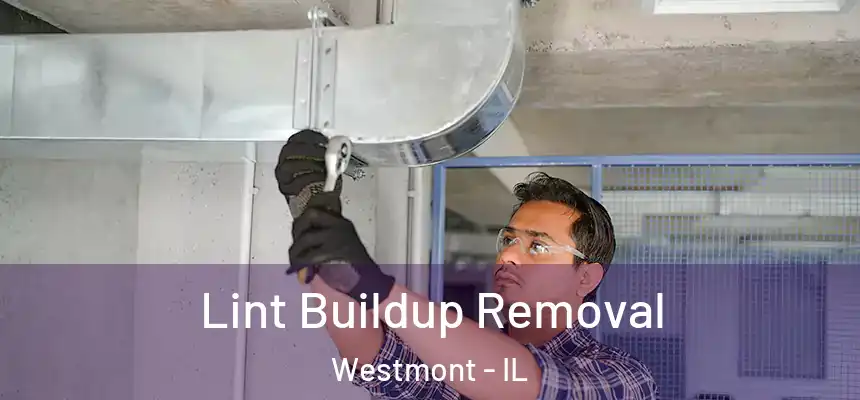  Lint Buildup Removal Westmont - IL