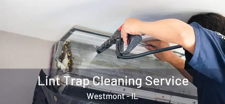 Lint Trap Cleaning Service Westmont - IL