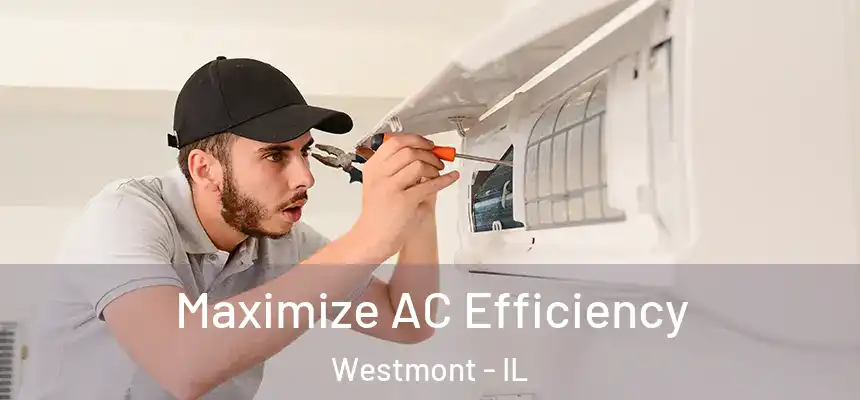 Maximize AC Efficiency Westmont - IL