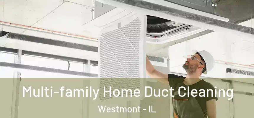 Multi-family Home Duct Cleaning Westmont - IL