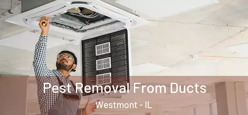 Pest Removal From Ducts Westmont - IL