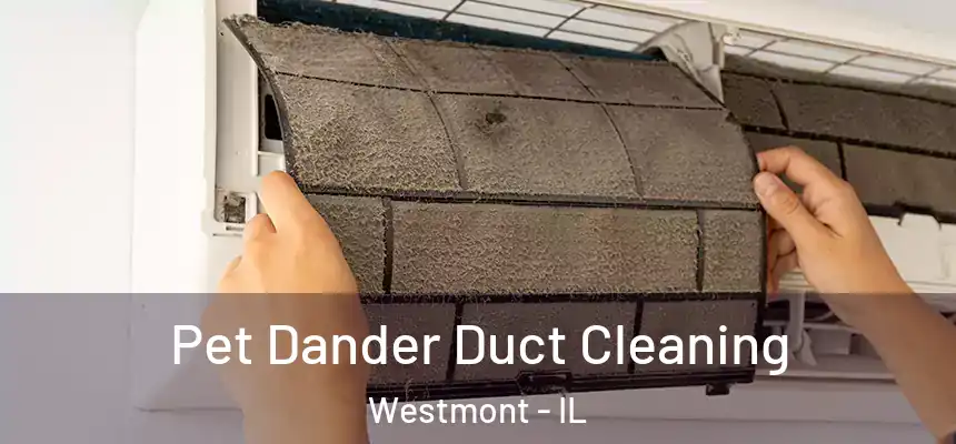  Pet Dander Duct Cleaning Westmont - IL