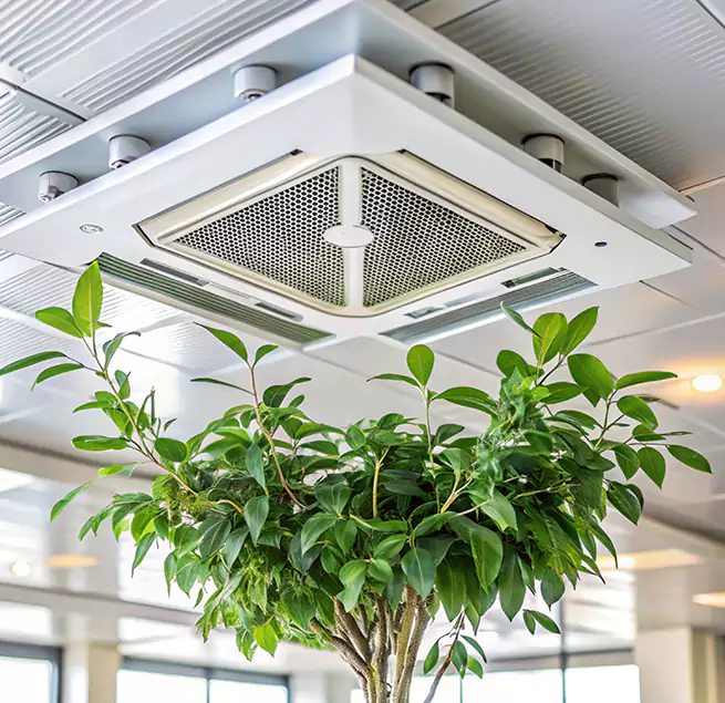 Why Homeowners & Businesses Trust Us in Westmont, IL?