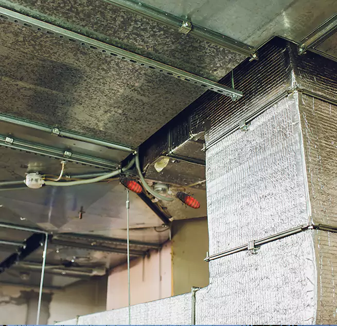 Why Homeowners & Businesses Trust Us Westmont, IL?