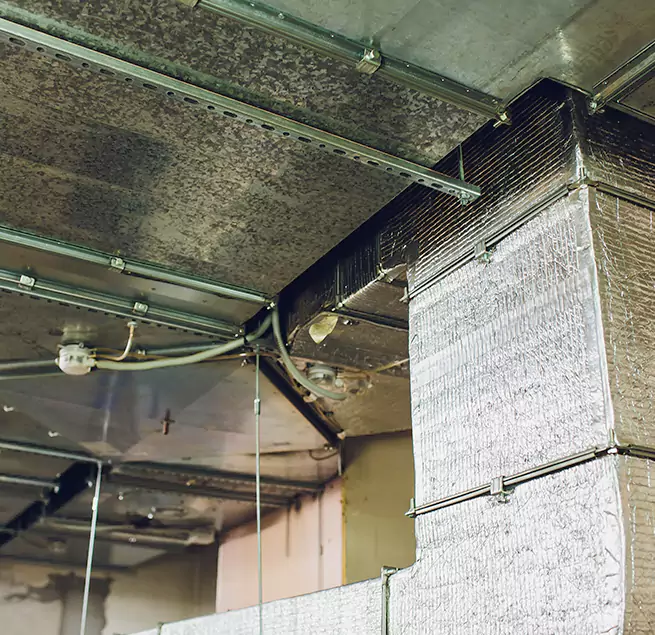 Why Homeowners & Businesses Trust Us in Westmont, IL?