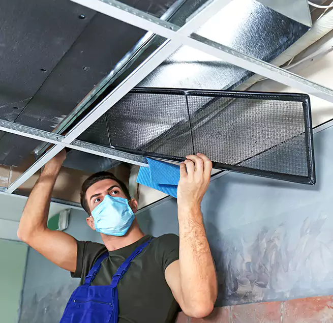 Why Homeowners Businesses Trust Us in Westmont, IL